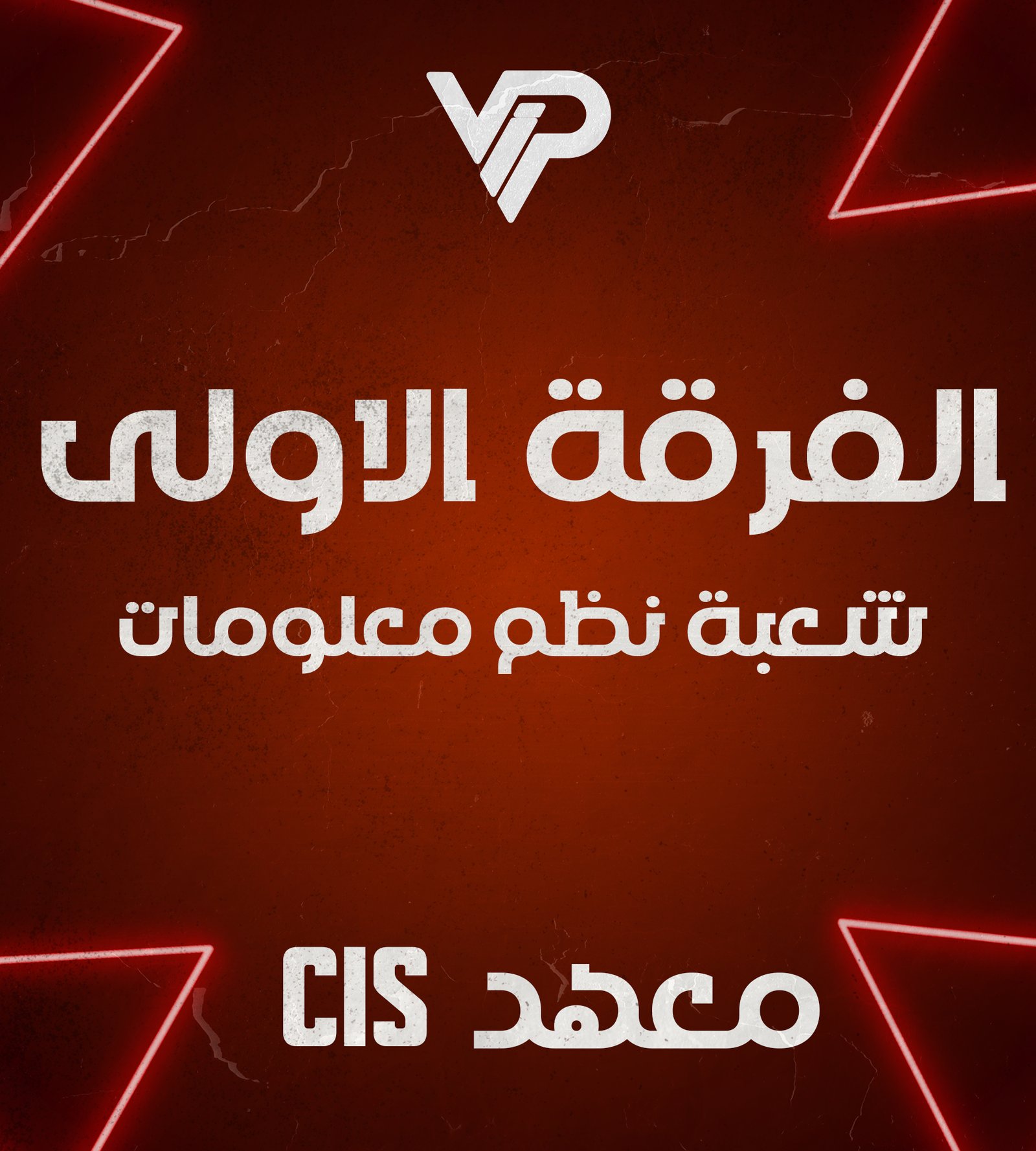 شعبة نظم معلومات